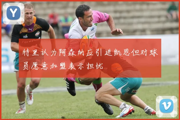 特里认为阿森纳应引进凯恩但对球员愿意加盟表示担忧
